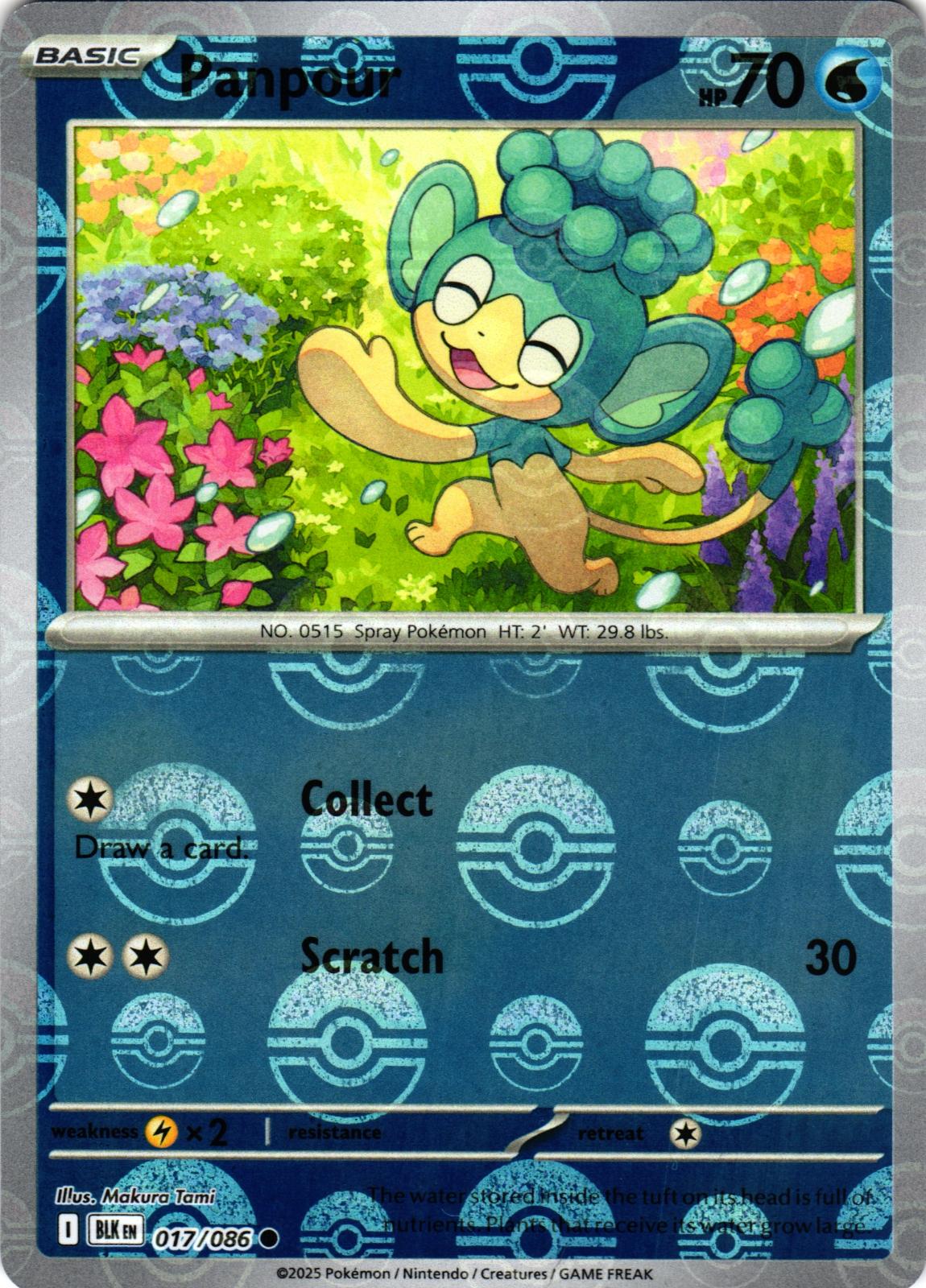 Panpour (Poke Ball Pattern) 017/086 Common Black Bolt Pokemon
