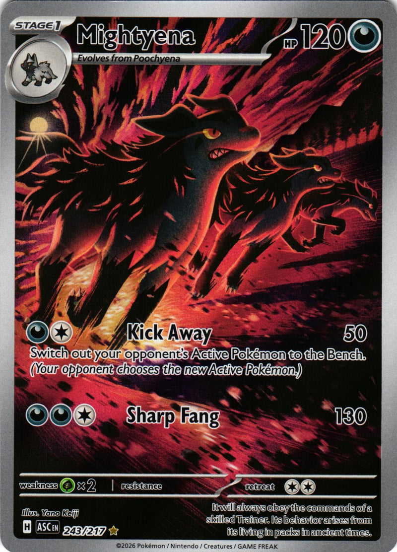 Mightyena 243/217 Illustration Rare Ascended Heroes Pokemon