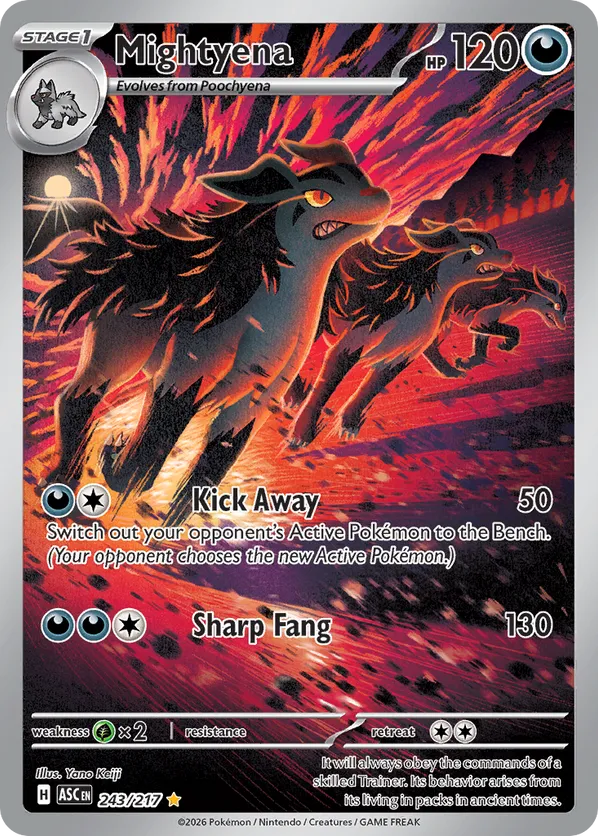 Mightyena | ASC: Ascended Heroes | 243/217 | Illustration Rare | Pokemon