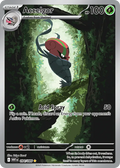 Accelgor | WHT: White Flare | 094/086 | Illustration Rare | Pokemon