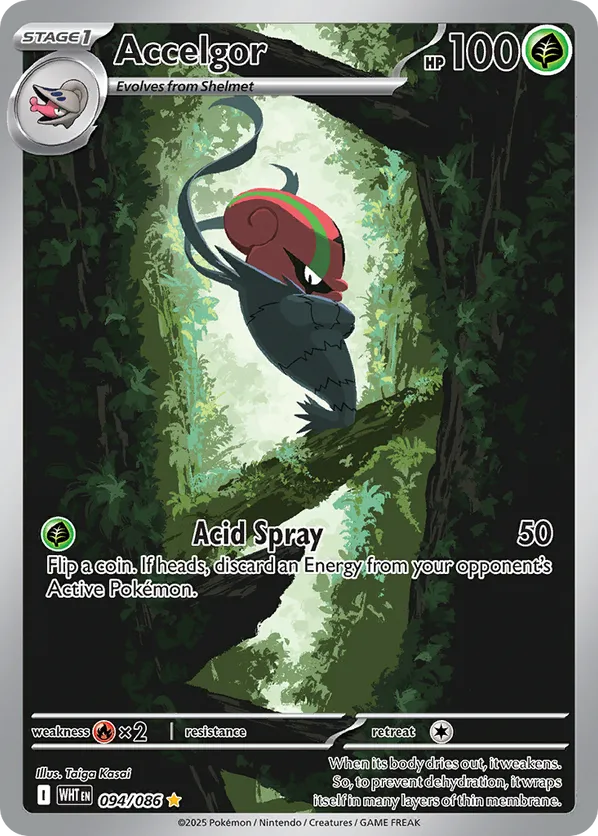 Accelgor | WHT: White Flare | 094/086 | Illustration Rare | Pokemon